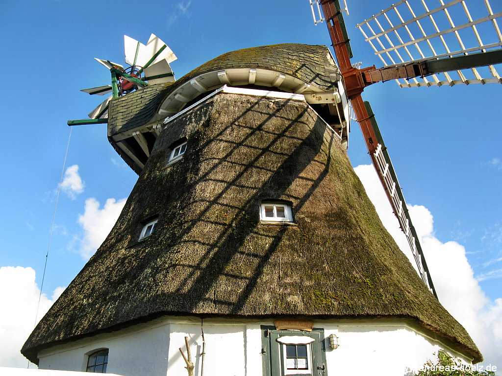 Wrixum Wind-Mühle Föhr Amrum Bild24