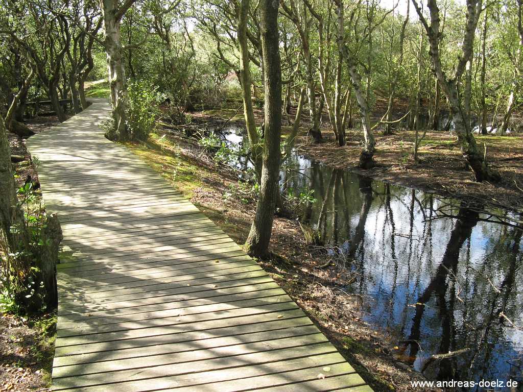 Ausflugsziel Vogelkoje Amrum Bild20
