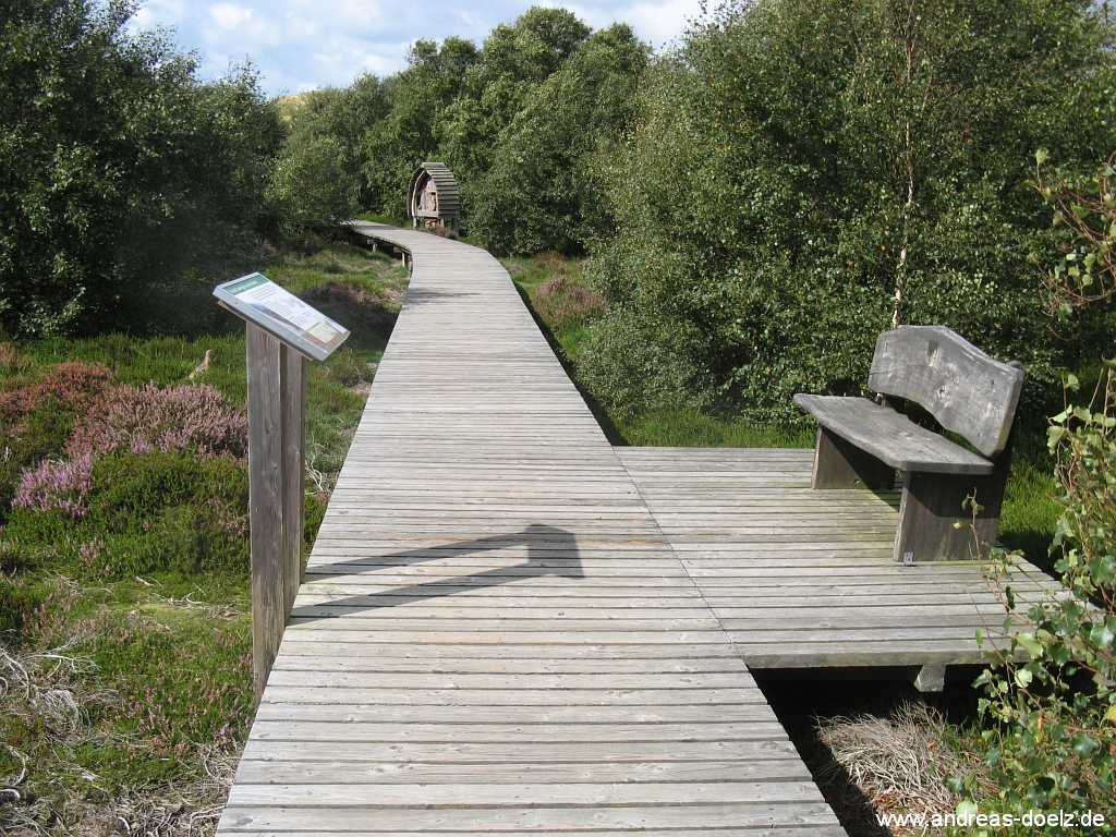 Meeram Vogelkoje auf Amrum Bild34