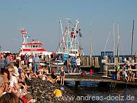 Papierboot Regatta Molenfest Steenodde Amrum Bild02