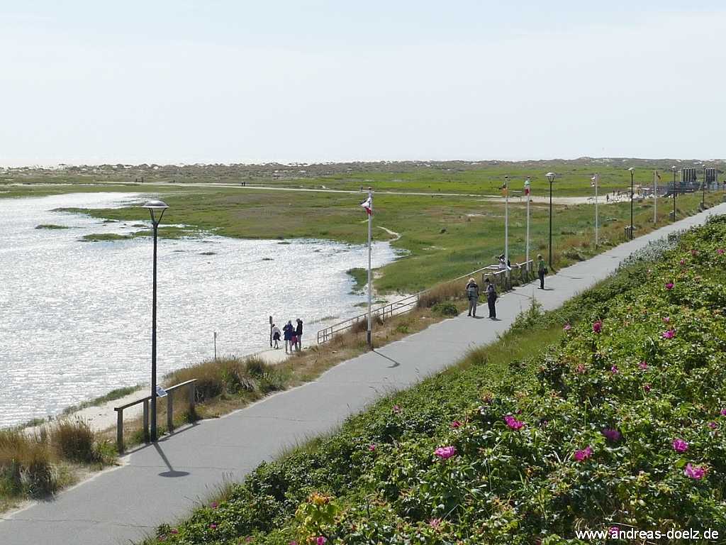 Süd-Strand Wittdün Amrum Bild05