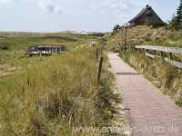 Wandelbahn Wittd&uuml;n Amrum Bild27