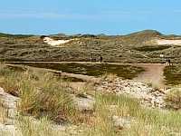 Eisenzeitliches Haus Amrum Bild03