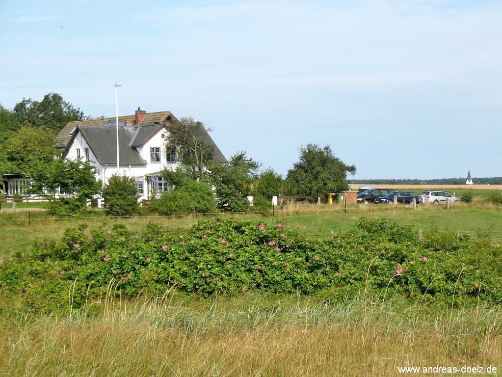 Das Restaurant Lickedeeler liegt direkt an der Wattseite in Steenodde auf Amrum mit Blick auf das Wattenmeer