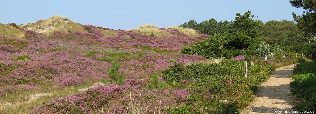 leuchtturm wahrzeichen amrum