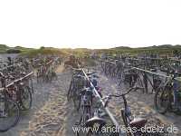 Sonnenwendfeier am Strand von Nebel auf Amrum Bild45