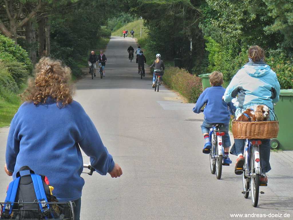 Mit dem Hundekorb auf dem Fahrrad zum Hundestrand Bild08 Hundekorb Fahrrad Hundestrand Bild04