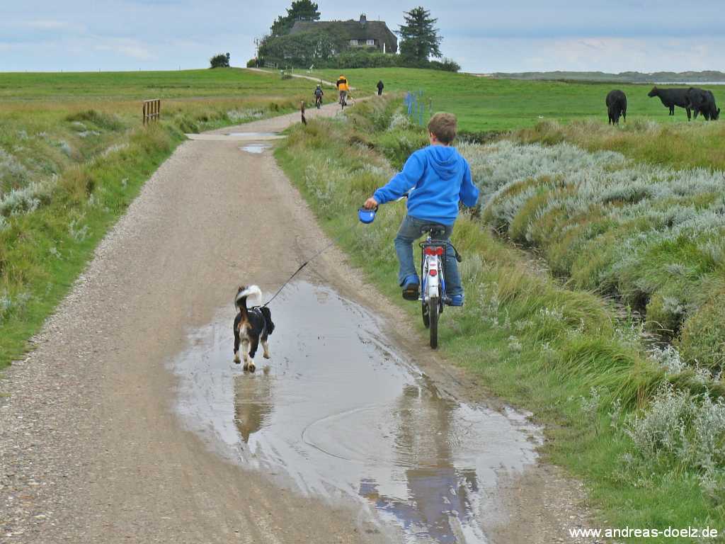 Mit dem Hund neben dem Fahrrad an der Wattseite von Amrum Bild09 Hund Fahrrad Wattseite Amrum Bild09