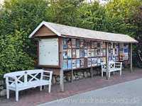 Veranstaltungen im Amrum-Urlaub Amrum Bild34