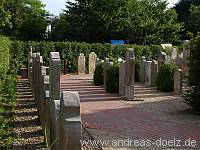 Friedhof Nebel Amrum Bild07