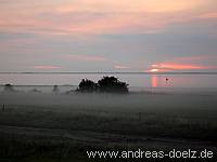 Sonnenaufgang Watt Nebel Amrum Bild17